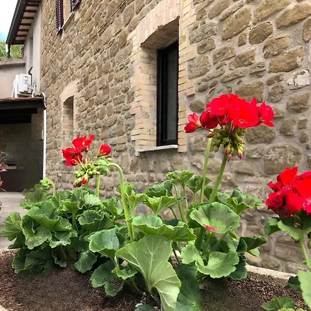 Bed & Breakfast Tra Le Colline Assisi