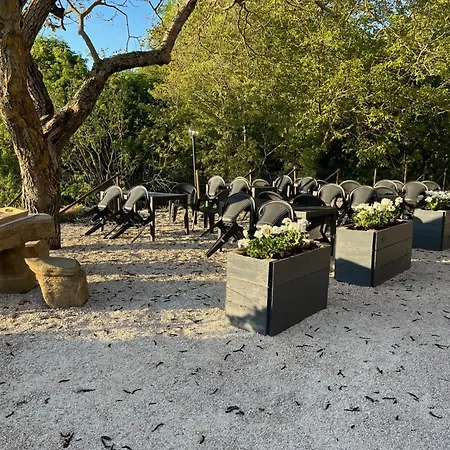 Tra Le Colline Assisi