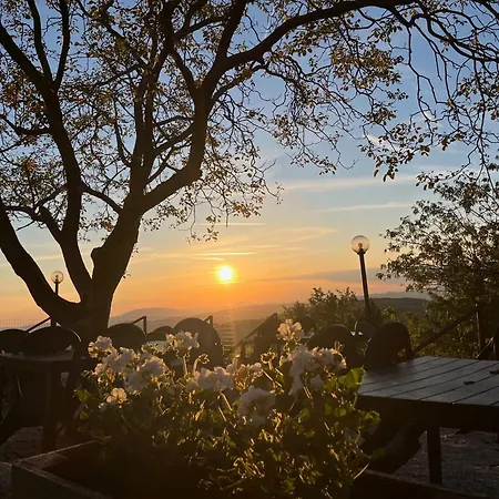 Bed and breakfast Tra Le Colline 3*