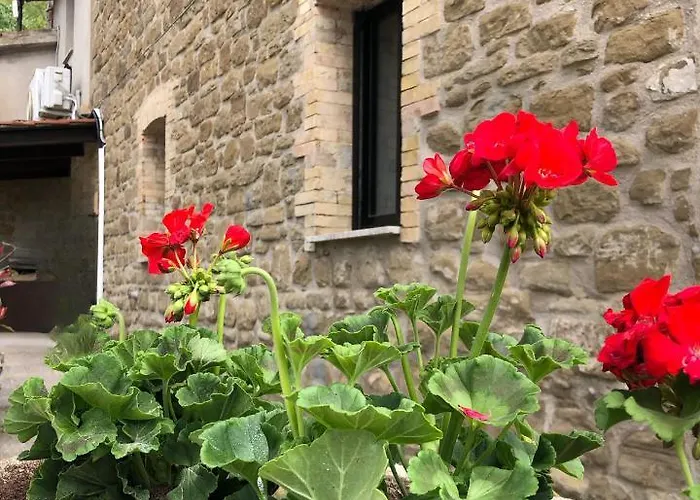 Bed & Breakfast Tra Le Colline Assisi