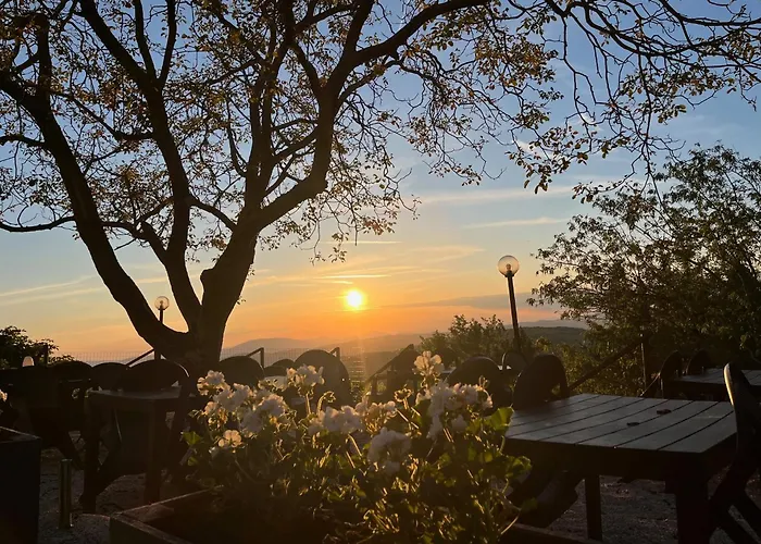 Bed & Breakfast Tra Le Colline 3*